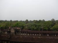 Dschungel Angkor Wat