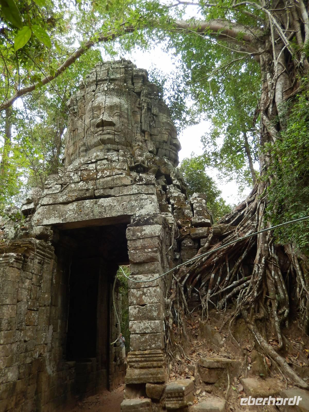 Auf gehts zu Ta Prohm