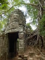 Auf gehts zu Ta Prohm