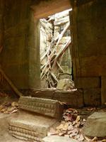 Ta Prohm ... auch bekannt als Tempel von dem Computer-Spiel Tomb Raider