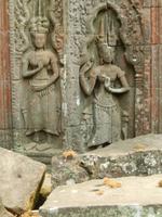 Apsara Tänzerinnen Ta Prohm