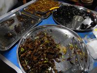 Mitternachtssnack: Taranteln, Maden, Käfer