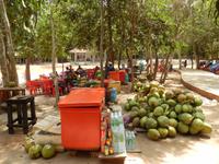 Kokosnuss und Eis Kambodscha