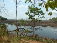 Bewässerung West Mebon