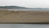 Blick vom Yala NP auf die Küste
