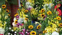 Blumen :)