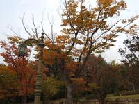 Bulguksa
