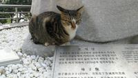 Busan Taejongdae Park