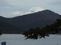 Fuji  
