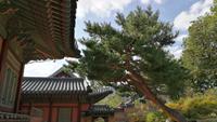 Gyeongbokgung Palast Seoul