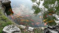 Gyeongju Anapji Teich Palastanlage