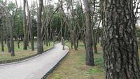 Gyeongju