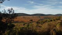 Horton Plains