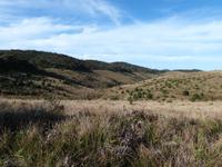 Horton Plains