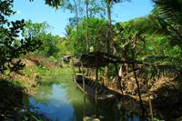 Im Mekong Delta