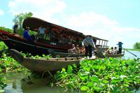 Im Mekong Delta