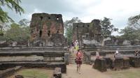 In der alten Königsstadt Polonnaruwa, Königspalast