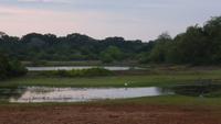 Jeep-Safari im Yala Nationalpark (NP)