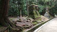 Kasuga Taisha Shinto Schrein Nara