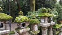 Kasuga Taisha Shinto Schrein Nara