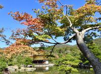 Kinkakuji Japan 