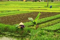 Landwirtschaft