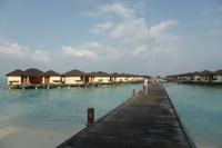 Lankanfinolhu