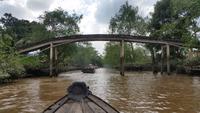 Mekong Delta