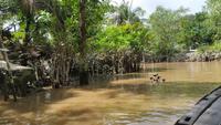 Mekong Delta