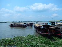 Mekong Delta