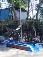Mekong Delta