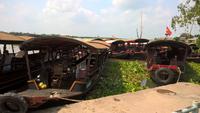 Mekong-Delta