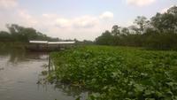 Mekong-Delta