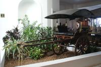Mount Lavinia