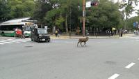 Nara Todaiji