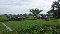 Rund um Yangon