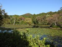 Ryoanji 