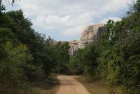 Safari im Yala Park