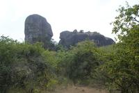 Safari im Yala Park