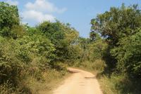 Safari im Yala Park