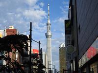 Tokio