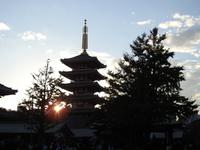 Tokio