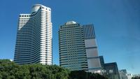 Tokyo Meiji Schrein