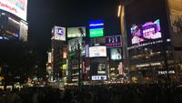 Tokyo Shibuya Kreuzung