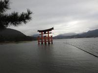 Torii Japan