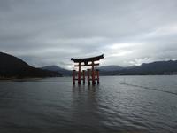 Torii Japan