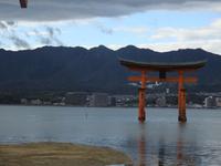 Torii Japan