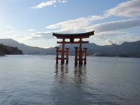 Torii Japan