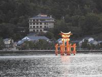 Torii Japan