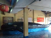 Waltempel Vung Tau